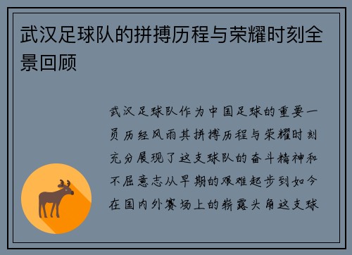 武汉足球队的拼搏历程与荣耀时刻全景回顾