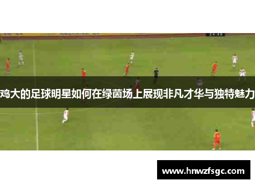 鸡大的足球明星如何在绿茵场上展现非凡才华与独特魅力